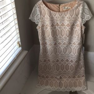 NEW Eliza J Size 14 Lace Dress